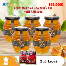 5 Hũ Mật Ong Hoa Xuyến Chi Honey An 500g /Hũ - Tặng 2 gói kẹo sâm