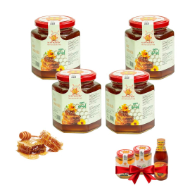 4 lọ mật ong ruồi nguyên chất 504g Xuân Nguyên  - Tặng 2 lọ mật ong hoa sen 225g + 1 chai mật ong hoa nhãn 180ml