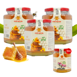 3 lọ mật ong ruồi nguyên chất 504g Xuân Nguyên  - Tặng 1 lọ mật ong hoa sen 225g