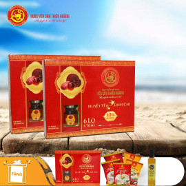 5 Hộp yến huyết linh chi 15% (6 lọ/hộp) - Tặng 4 hộp yến huyết linh chi 15% (6 lọ/hộp) + 2 chai mật ong Honey An 380gr + 8 gói cháo yến Thiên Hoàng (vị ngẫu nhiên)